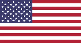 american flag-Gaylord